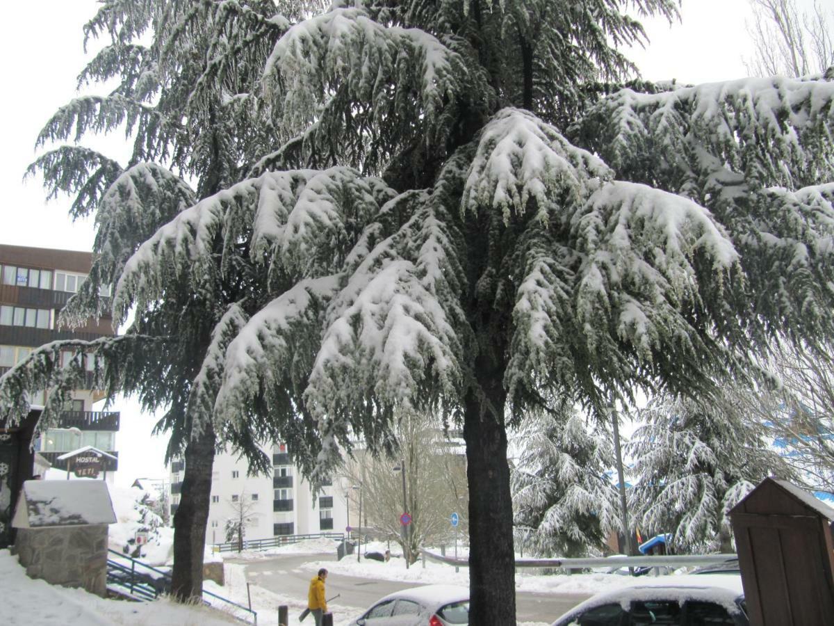 Studio Sueno Nevado Deluxe Ecomomic Sierra Nevada Eksteriør billede